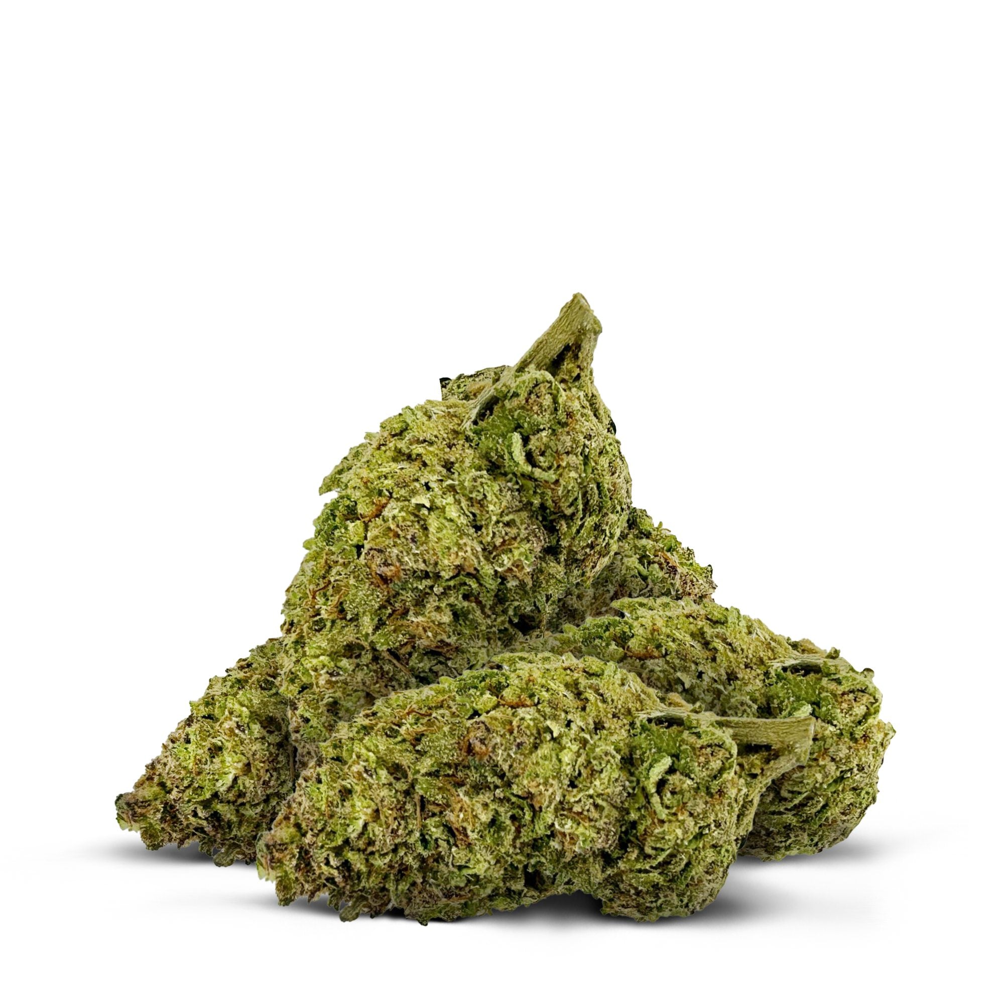 Collection of Flower in a gallery layout