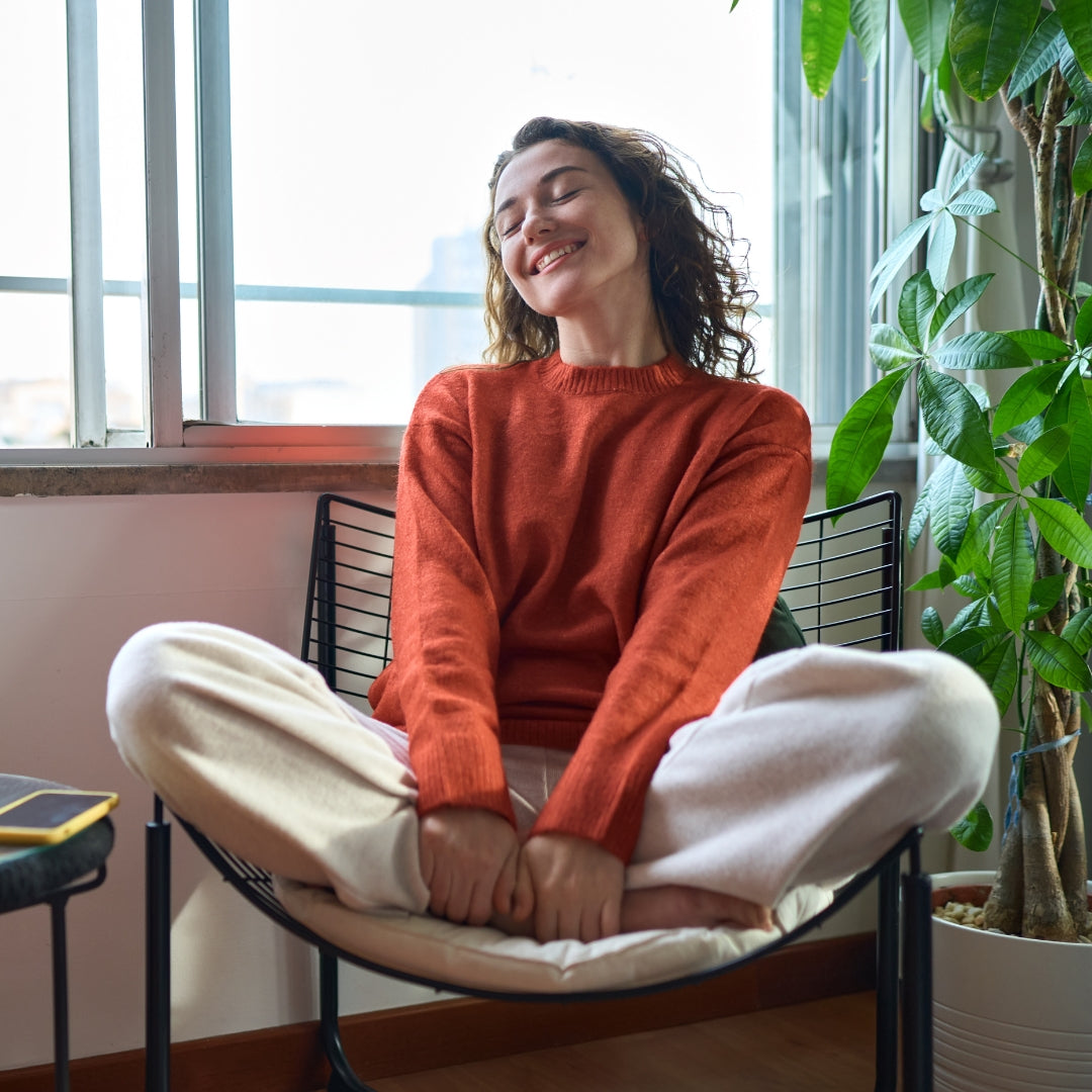 Collection of Bernie  in a gallery layout