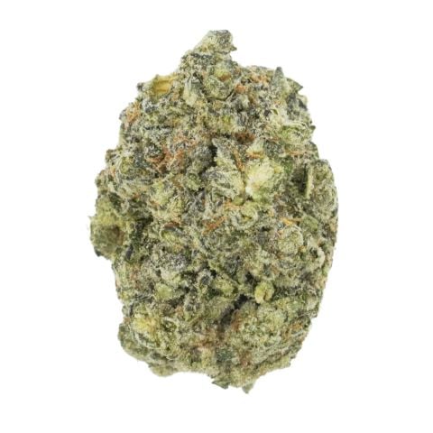 Collection of  in a gallery layout