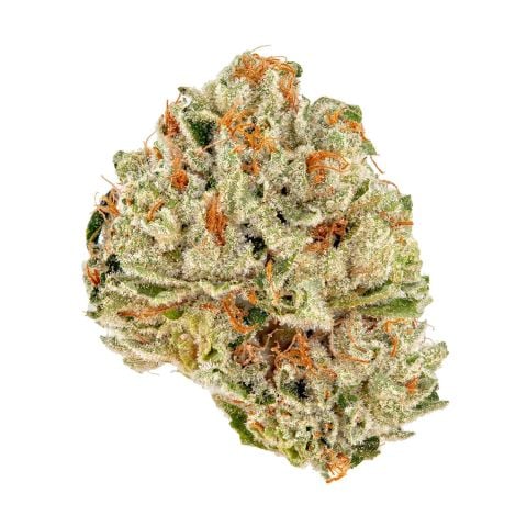 Collection of  in a gallery layout