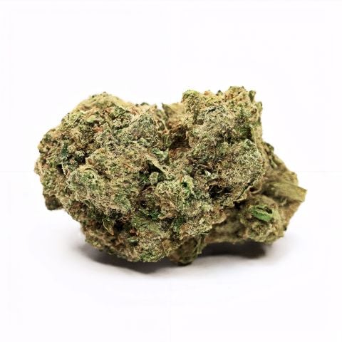 Collection of  in a gallery layout