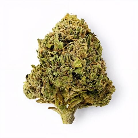 Collection of  in a gallery layout