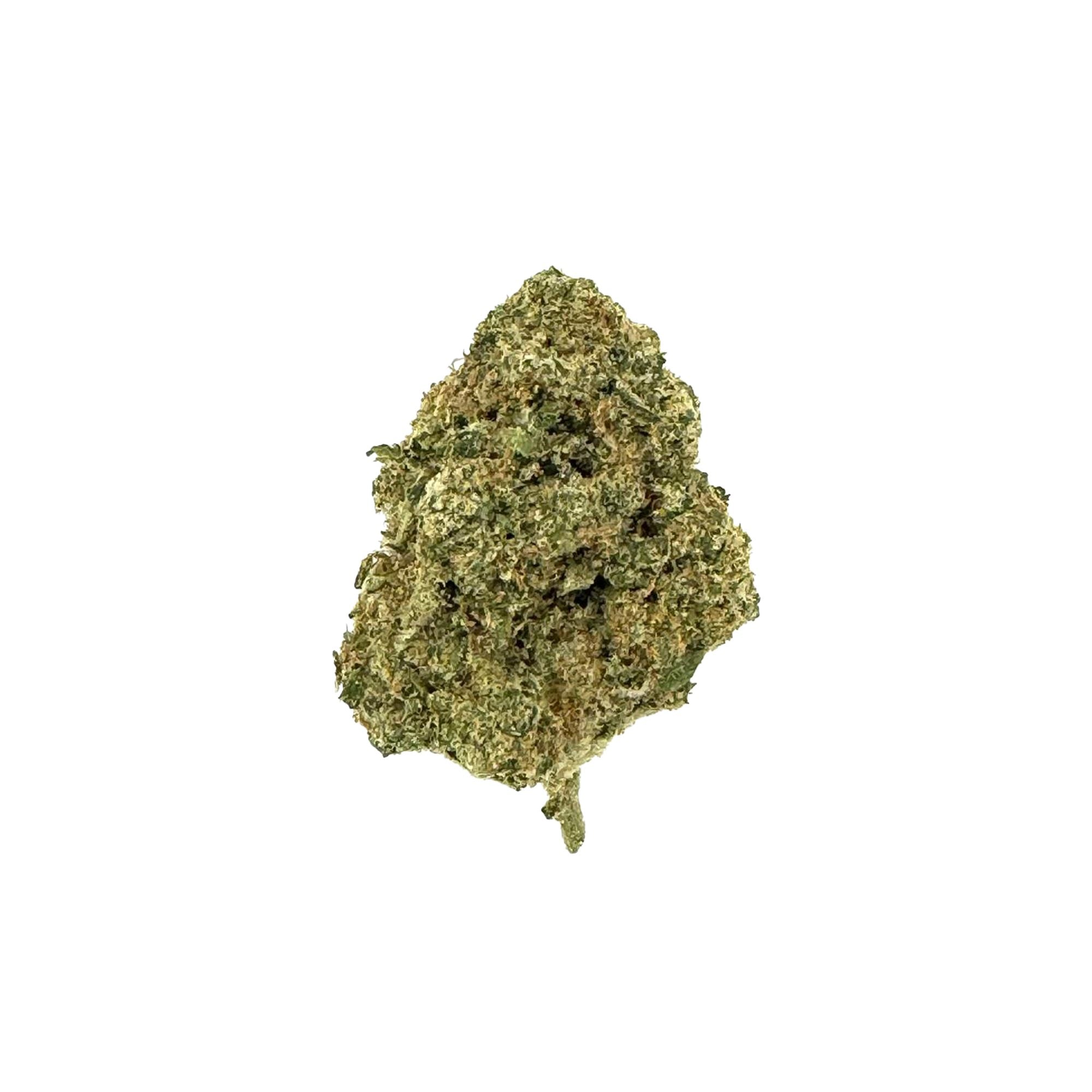 Collection of  in a gallery layout