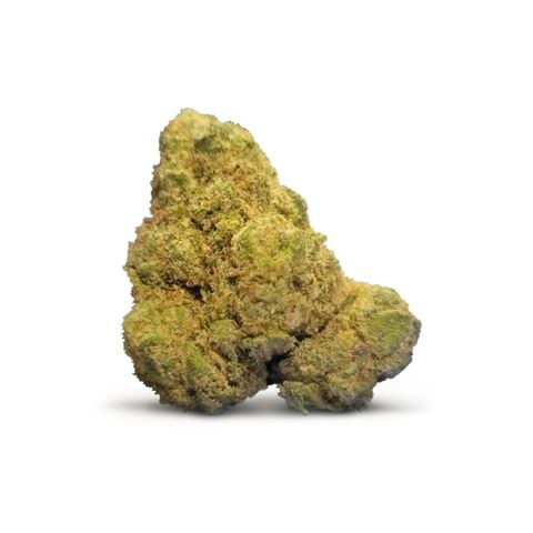 Collection of  in a gallery layout