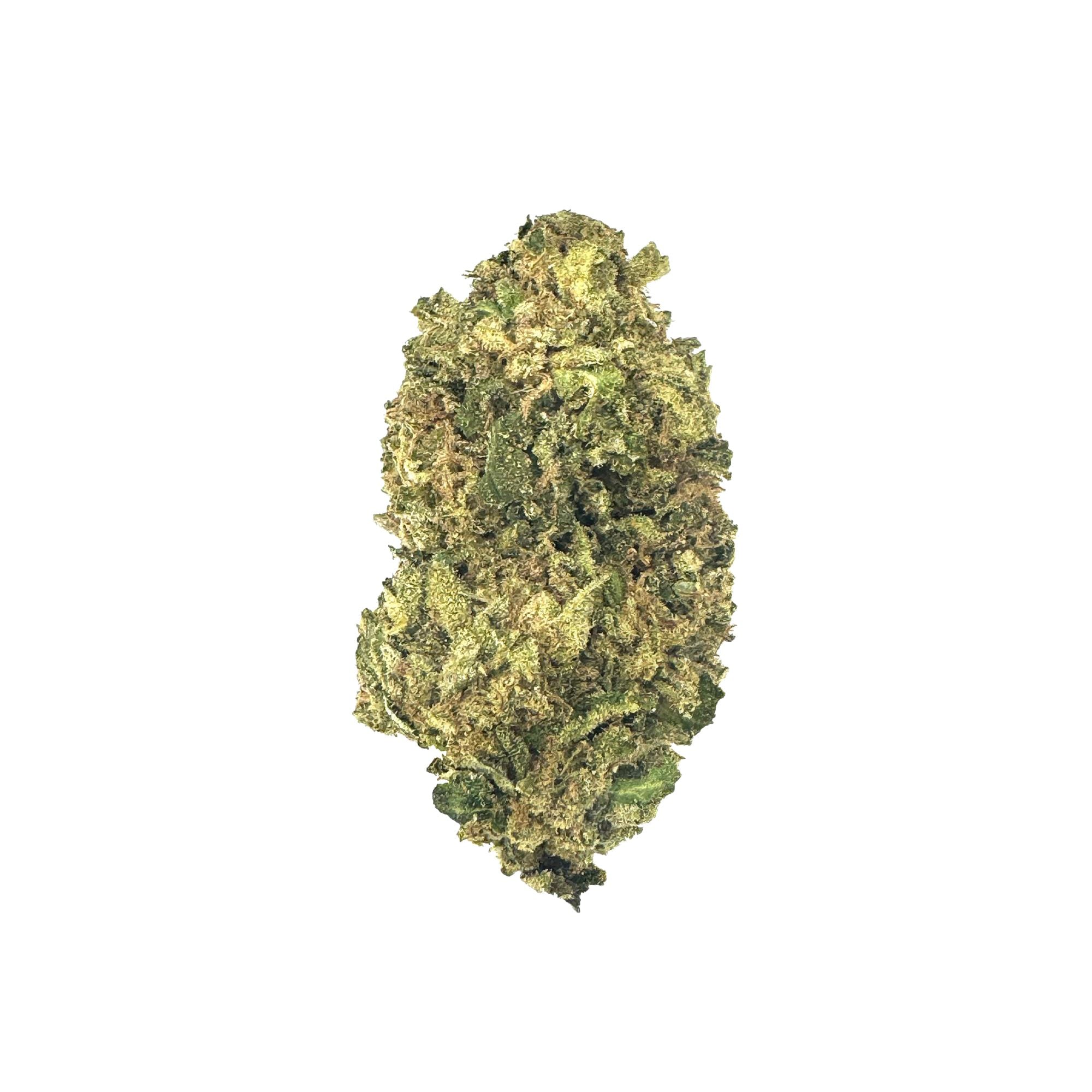 Collection of  in a gallery layout