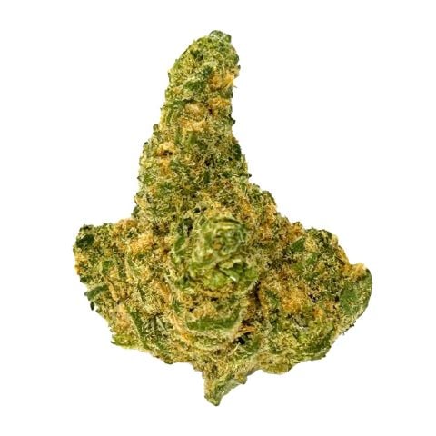 Collection of  in a gallery layout