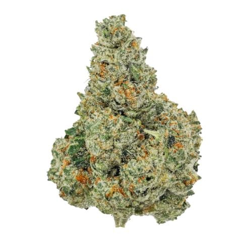 Collection of  in a gallery layout