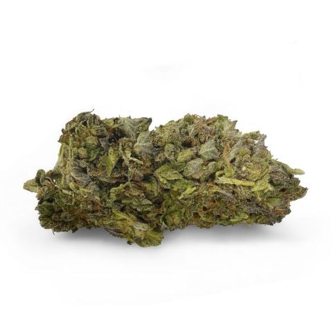 Collection of  in a gallery layout