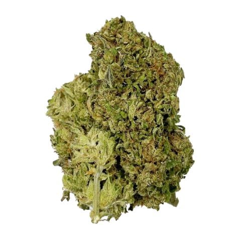 Collection of  in a gallery layout