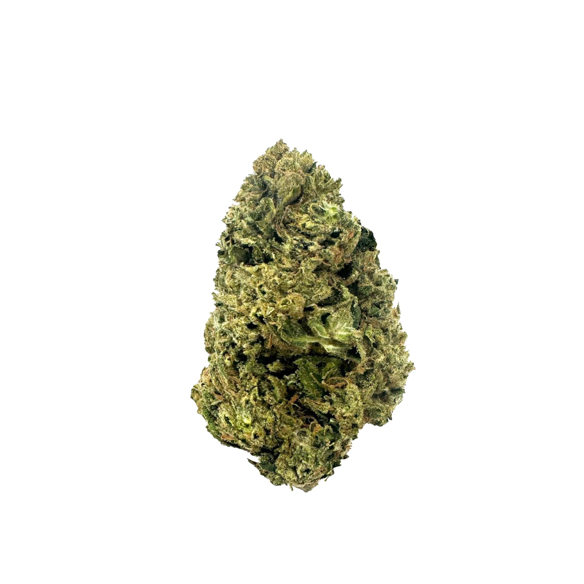 Collection of  in a gallery layout