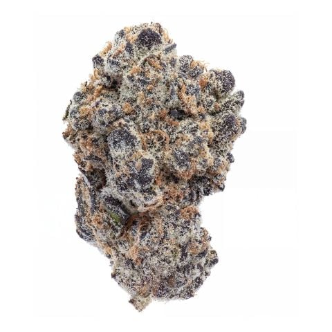 Collection of  in a gallery layout