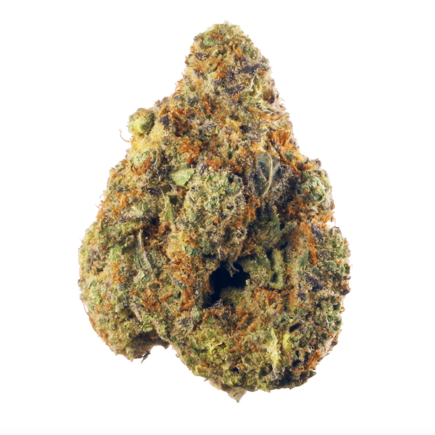 Collection of  in a gallery layout