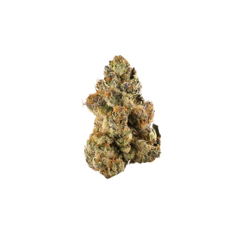 Candy Gelato flower, as labeled by the cited photo source