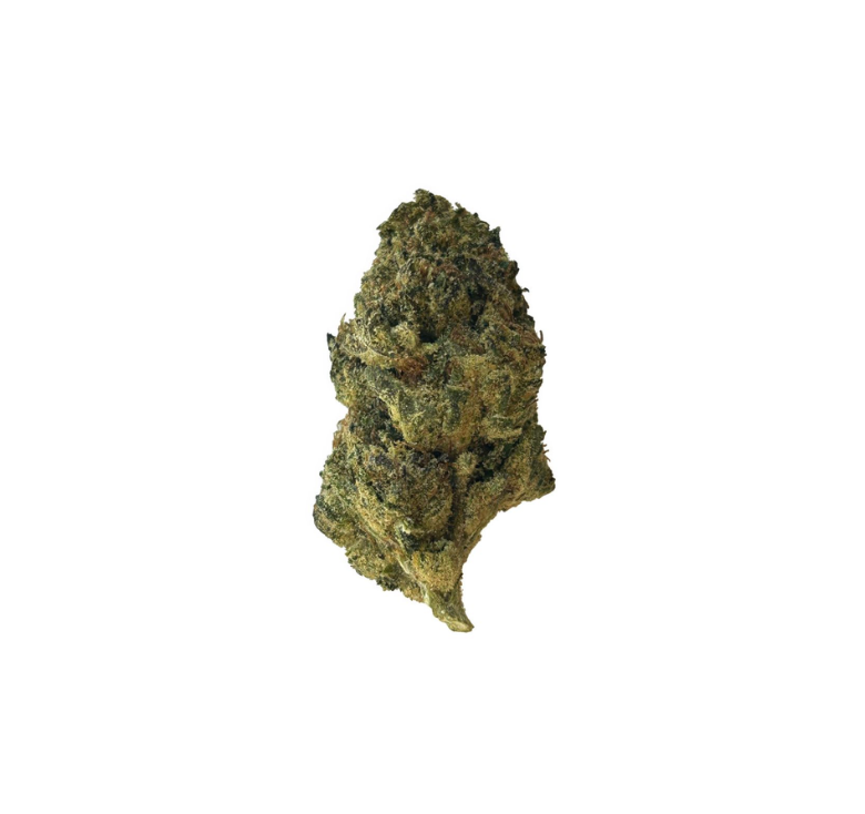 Collection of Sunset x Gushers - Hybrid in a gallery layout