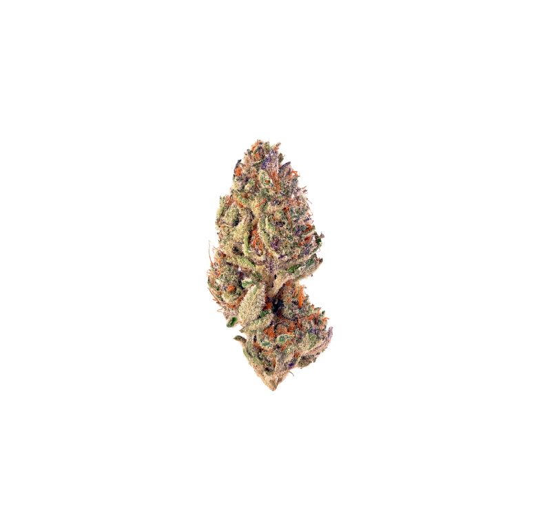 Collection of Tropicana - Sativa in a gallery layout
