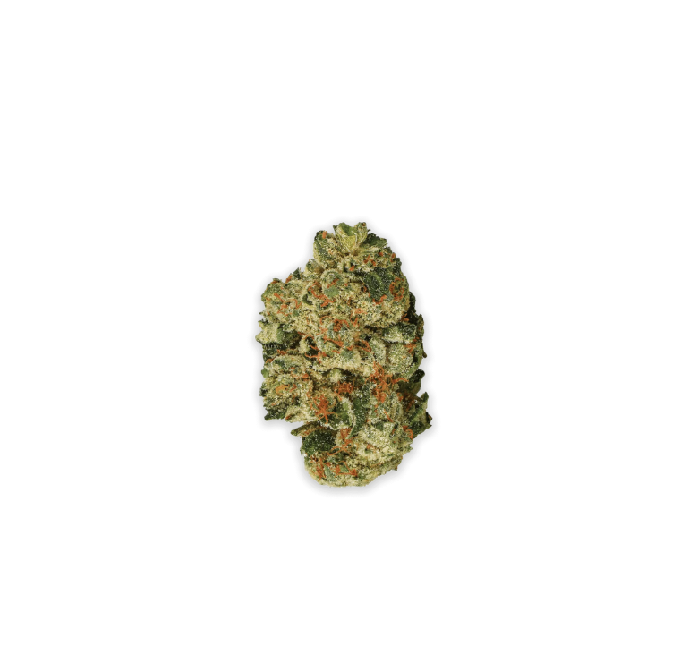 Collection of Jet Fuel Gelato - Sativa in a gallery layout