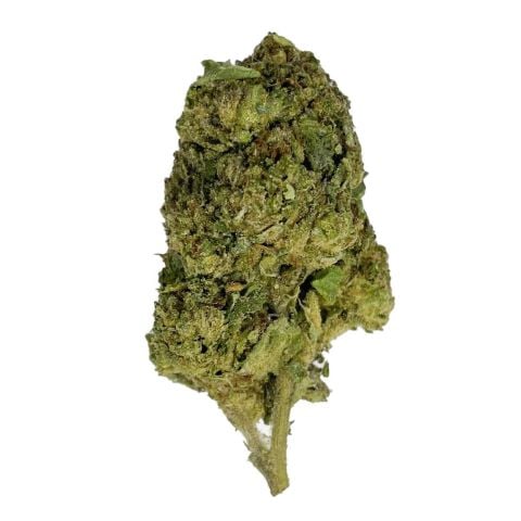 Collection of  in a gallery layout